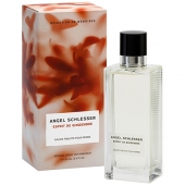 Angel Schlesser Esprit De Gingembre