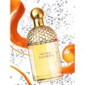 Aqua Allegoria Orange Magnifica