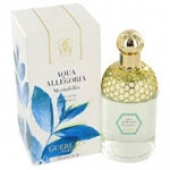 Aqua Allegoria Mentafollia