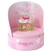 Cherry Blossom