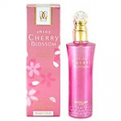 Shiny Cherry Blossom