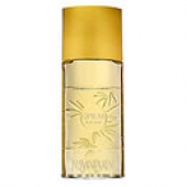 Opium Summer Fragrance